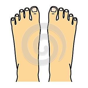 Bare foot, instep, illustration photo